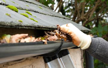 gutter cleaning Nunholm, Dumfries And Galloway
